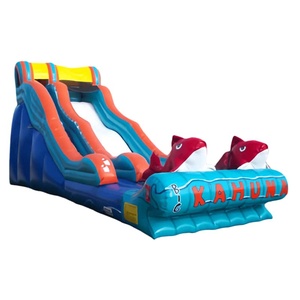 Toboggan gonflable géant commercial à sec, modèle Big Kahuna Red Fishes, pour enfants et adultes, idéal pour le jardin - Vente chaude - Product Image 1