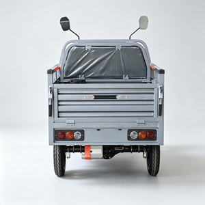 Tricycle électrique écologique standard de l'UE batterie 60V 300kg charge utile e-tricycle polyvalent avec contrôle de descente - Product Image 6