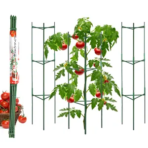Wholesale Garden Plant Decoration Support 11mm Metal And Plastic Garden Supports Tomato Stake For Tomato