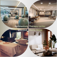 Maître Coréen Table de Massage en Jade Corps Complet Infrarouge Lointain Chiropratique RollerThermal Spa Meubles Tables et Lits de Massage