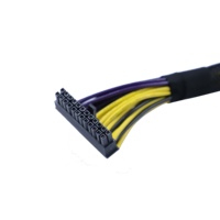 Câble adaptateur d'alimentation Molex PSU 24 broches de haute qualité 15cm rallonge de démarreur synchrone pour les applications électroniques