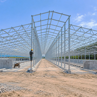 Bâtiment pour moutons de type ouvert et fermé en acier galvanisé à chaud avec ligne d'alimentation automatique et abreuvoir