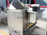 Kleine schaal 50-150kg/uur semi-automatische frietmachine productielijn voor verse en diepvriesfrieten