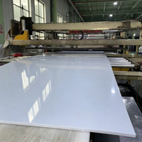 Feuille de plastique PE haute densité résistante aux UV, feuille résistante aux intempéries, découpe pour projets de construction extérieure et aménagement paysager, alimentation