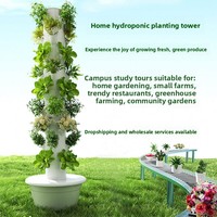 Système hydroponique Seedafarm Space-Tree, tour verticale, cultivateur intelligent de légumes, équipement de culture sans sol, type colonne