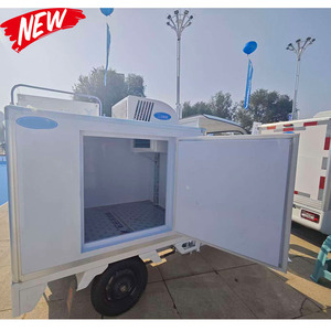 Camión Furgoneta de Carga Triciclo Eléctrico Refrigerado de Alta Calidad EEC y Bajo Precio, Gran Venta 2026 - Product Image 4
