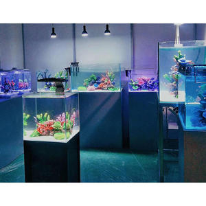 Aquarium <span class=keywords><strong>de</strong></span> 300 gallons, aquarium d'<span class=keywords><strong>eau</strong></span> salée <span class=keywords><strong>de</strong></span> 300 gallons - Product Image 1