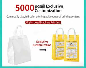 Bolsas Térmicas Personalizadas con Logotipo, Portátiles, Desechables, de Tela No Tejida, para Compras, Bolsas de Lujo Clásicas Pequeñas para Llevar Comida, Entrega de Alimentos - Product Image 5