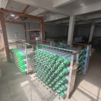 CE TUV approuvé 150bar 200bar 6kg 8kg 10kg cylindre d'argon en acier bouteille de gaz Co2 bouteille de gaz mixte avec marque Pi pour européenne