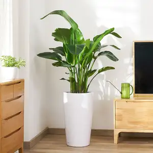 Leizisure Large Tall Tree Planting Plastic Ceramics Home Hotel Floor Outdoor Decoration Flower Vase And Pot