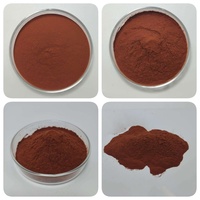 Extrait de Corteau de Pin Naturel de Qualité Supérieure, 95% Proanthocyanidines OPC, Testé HPLC, Extraction par Solvant, Conditionnement en Fût