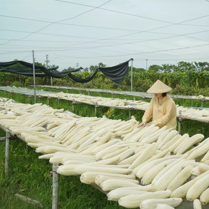 Vietearth ฟองน้ำใยบวบขัดตัวทำจากธรรมชาติเป็นมิตรกับสิ่งแวดล้อมฟองน้ำใยบวบขัดร่างกายสปาห้องครัวสัตว์เลี้ยงล้างจานฟองน้ำธรรมชาติ - Product Image 1