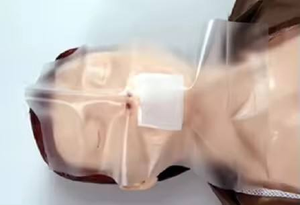 หุ่นจำลองการฝึกอบรมการช่วยชีวิตผู้ใหญ่<span class=keywords><strong>ค</strong></span>รึ่งตัวและหุ่นจำลองการฝึกอบรมการช่วยชีวิตเด็กทารกสำหรับการฝึกอบรมการปฐมพยาบาล - Product Image 3