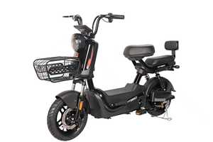 14-<strong>Inch</strong> 3-Speed Hydraulic Disc Brake Lead Acid Battery Electric Bike with Brushless Rear Hub Motor and <strong>Digital</strong> Sensor - Product Image 3