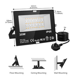 30 واط gb Colour 80 متغير بالتحكم عن بعد توقيت الذاكرة 4 أوضاع r66 ww مصباح غامر - Product Image 3
