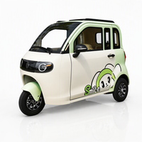 Tricycle électrique à batterie lithium longue portée, 3 roues, pour adultes, pour les trajets en ville et le transport urbain