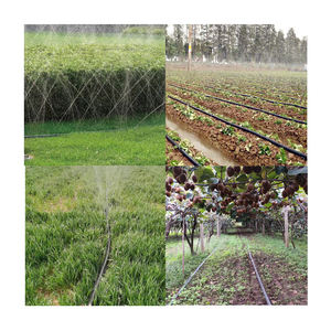 Tuyau PE d'irrigation agricole de haute qualité <span class=keywords><strong>pour</strong></span> un usage professionnel - Product Image 2