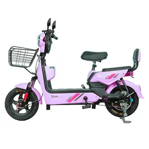 TDTO02ZJZ-100 wholesaler lowest price 14" tyre two-wheel 48V 20Ah battery electric bicycle ebike with two pedals to Indonesia