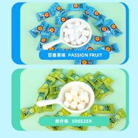 500g zakje munt fruit compressie snoep, passievrucht & multi-fruit smaak, frisse adem voor hotpot hotelreceptie, OEM mogelijk