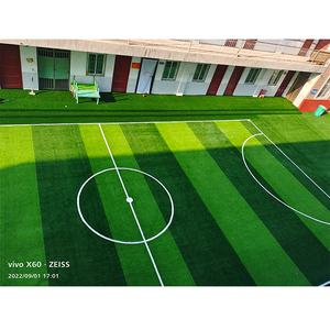 Césped Artificial Sintético, <span class=keywords><strong>Alfombra</strong></span> de Césped Artificial, Tapete de <span class=keywords><strong>Semillas</strong></span> de Césped Artificial, Césped Artificial para Fútbol - Product Image 1