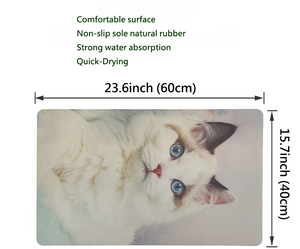 Custom Photo Super Absorbent Quick-Drying Non-Slip Bath <strong>Mat</strong> for Bathroom Floor <strong>Mat</strong> - Product Image 2