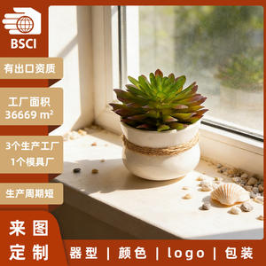 Maceta blanca pequeña de cerámica para decoración de plantas de interior de escritorio, artículo de regalo DB2874 - Product Image 5