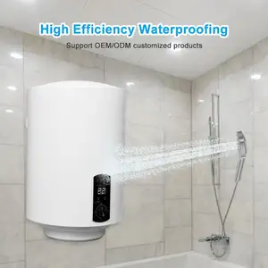 Price Competitive Price Electric Water Heater 80L Propane Gas Lpg Tankless Water Heater Electric
