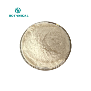 B.c.i cung cấp bột protein Whey thủy phân chất lượng cao - Product Image 3