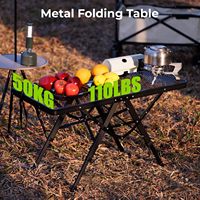 Table d'extérieur Portable pour Camping pique-nique plage BBQ 3 niveaux hauteur en aluminium Table de pique-nique pliante 3x2FT maille bureau