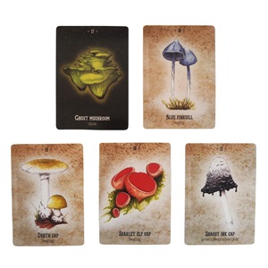 Personalizar la impresión 10,4*7,3 cm jugando Oracle Card Mushroom Spirit Oracle juego de mesa inglés <span class=keywords><strong>Tarot</strong></span> Card - Product Image 3