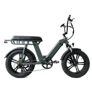 알루미늄 합금 프레임 소재 20 큰 바퀴 크기 산악 전기 자전거