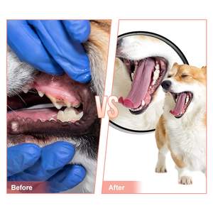 Sıcak satış Molar köpek spor oyuncaklar kauçuk interaktif ayakkabı şekil <span class=keywords><strong>Pet</strong></span> çiğnemek köpek oyuncak - Product Image 4