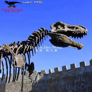 Высокая имитация искусственная пользовательская модель динозавра ископаемый скелет динозавра трекс