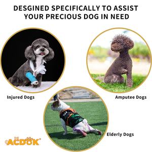 Rehabilitasyon Sling asansör tam vücut emniyet kemeri engelli eklem yaralanmaları artrit Pet köpek kurtarma asansör yelek taşıyıcı - Product Image 5