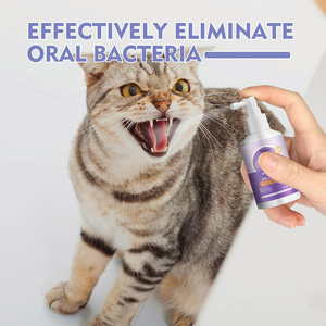 Spray de Limpieza Dental para Perros y Gatos Yegbong, Limpieza Bucal para Mascotas, <span class=keywords><strong>Aliento</strong></span> Fresco, Desodorización - Product Image 6