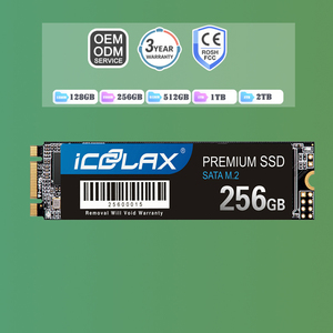 Prix de gros NGFF SSD 128 Go 256 Go 512 Go 1 To 2 To 560 Mo/s Lecture | Mise à niveau PC/Console de jeux - Product Image 1