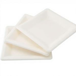 Assiettes carrées en bagasse de canne à sucre de 6/8/10 pouces, personnalisables, micro-ondables, compostables, biodégradables, en papier bagasse - Product Image 1