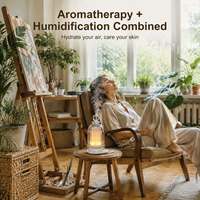 Diffuseur d'huiles essentielles en verre pour aromathérapie, petit humidificateur à brume froide avec 7 lumières LED colorées, vente en gros