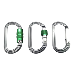 Nouvelle Offre Promotionnelle : Mousquetons Porte-clés 8kN en Aluminium pour Activités de Plein Air - Product Image 1