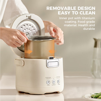Mini cuiseur à riz intelligent portable de 1,2 L, petit format, multicuiseur, pot de cuisson personnel