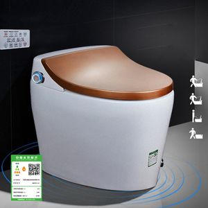 Smart Toilet HMY511 04 Floor Mounted Jet Siphon Heated Seat 200kg Capacity P Trap Drainage Level 13 Flush - Product Image 1