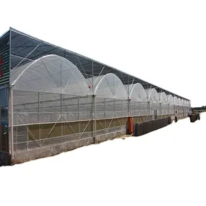 Best Quality Unique Design plastic green house commercial green house polythene