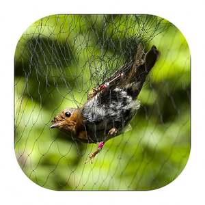<span class=keywords><strong>Red</strong></span> Para Pegar Morcego, Murciélagos Atrapando Passaros/<span class=keywords><strong>Red</strong></span> de <span class=keywords><strong>Captura</strong></span> de Aves Morcego <span class=keywords><strong>Red</strong></span> A Brasil Recoger Murciélago - Product Image 2