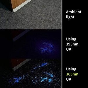 Lampe torche UV 365nm à lumière noire pour détecter les taches d'urine de <span class=keywords><strong>chien</strong></span> et de chat, étanche IP68, piles AAA, en alliage d'aluminium - Product Image 3