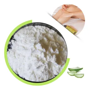 Bulk 200:1 Aloe Vera Extract Gel Freeze-Dried Powder