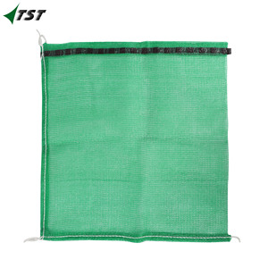 SAKO SIBUYAS / <span class=keywords><strong>KALAMANSI</strong></span> ฯลฯ. กระสอบต้นฉบับและจีนสําหรับหัวหอม theplanter.ph - Product Image 3