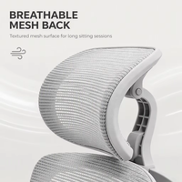 Chaise de bureau ergonomique en maille inclinable à prix de gros avec vérin à gaz et repose-pieds pour le bureau