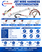 Harnais de câblage personnalisé JST XH ZH PH HA, pas de 1,0/1,25/1,5/2,0/2,5 mm, connecteur 2-20 broches, assemblage de câbles électroniques personnalisé IP66 600V