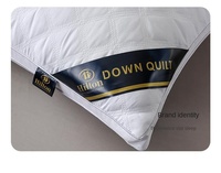 Oreiller Hilton à Bas Prix, Oreiller de Lit à Double Bordure 800g, Remplissage Velours Plume, Oreiller Cervical pour Dormir