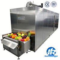 Automatische IQF-vriesmachine van roestvrij staal voor fruit en diepvriesgroentefabrieken